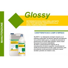 V - Detergente ecologico brillantante Grossy